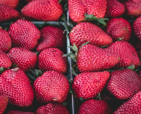 venta de plantas de fresas